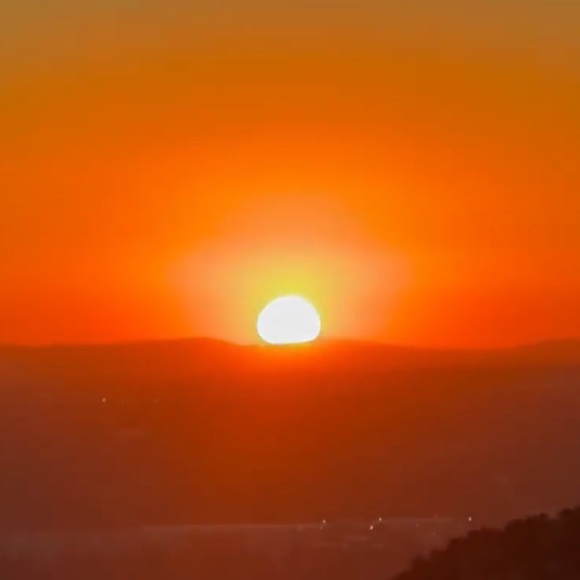 Meet your Posher, Posh - Picture 1 of 1